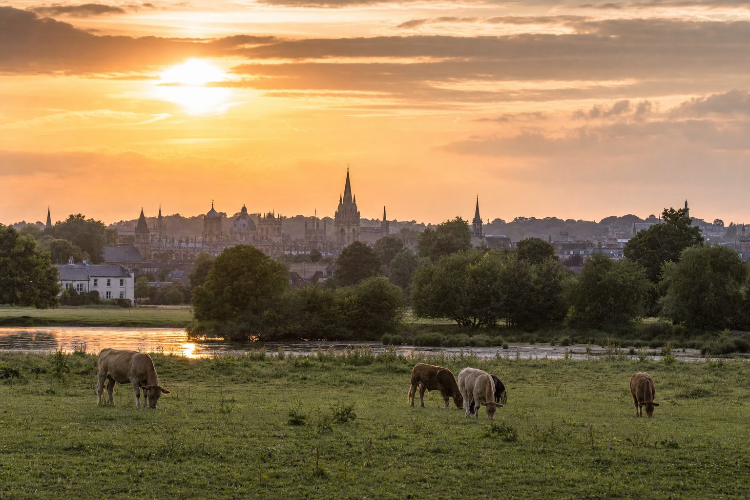 The Thames towpath south of Folly Bridge at golden hour